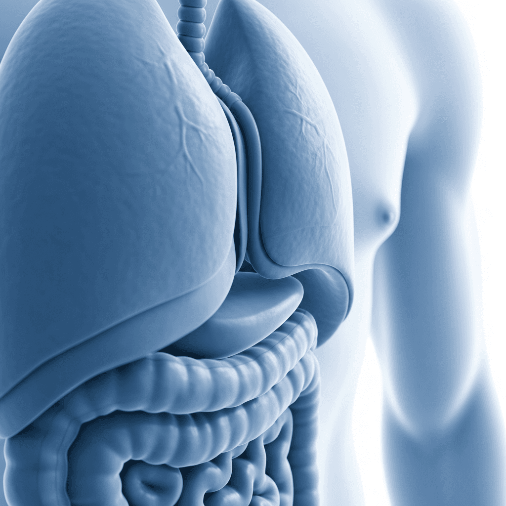 네이처셀, 자폐 아동 줄기세포 치료 지원 - 히트뉴스 — 이미지 9